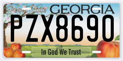 GA license plate PZX8690