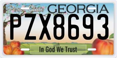 GA license plate PZX8693