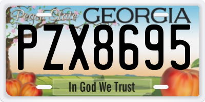 GA license plate PZX8695