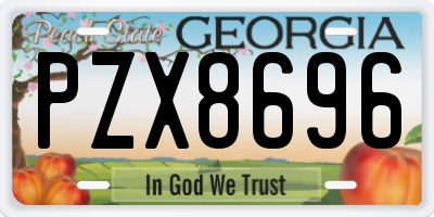 GA license plate PZX8696