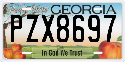 GA license plate PZX8697