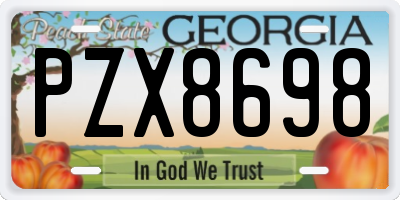 GA license plate PZX8698