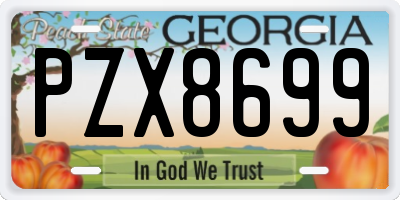 GA license plate PZX8699