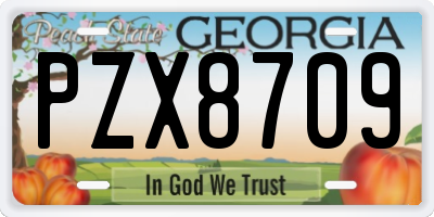 GA license plate PZX8709