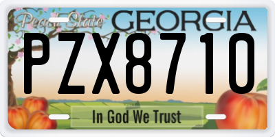 GA license plate PZX8710