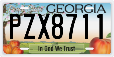 GA license plate PZX8711