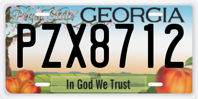 GA license plate PZX8712