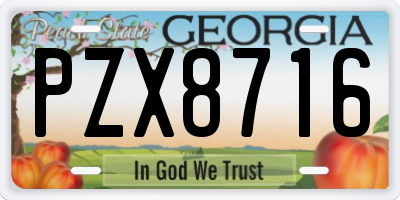 GA license plate PZX8716