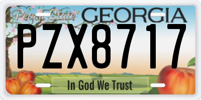 GA license plate PZX8717