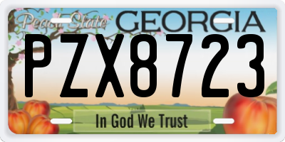 GA license plate PZX8723