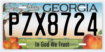 GA license plate PZX8724