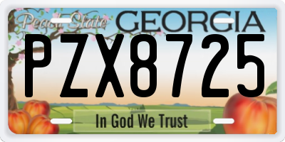 GA license plate PZX8725