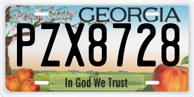 GA license plate PZX8728