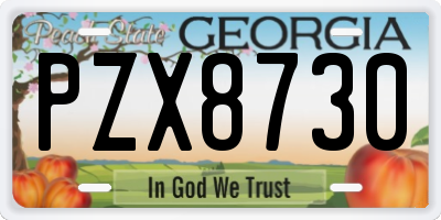 GA license plate PZX8730