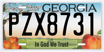 GA license plate PZX8731