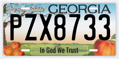 GA license plate PZX8733