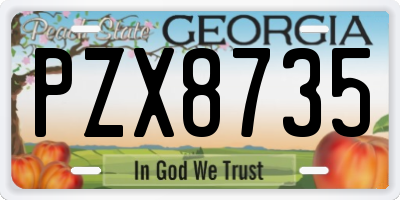 GA license plate PZX8735