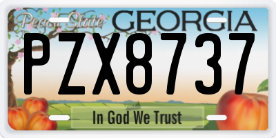 GA license plate PZX8737