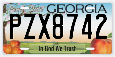 GA license plate PZX8742