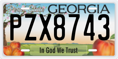 GA license plate PZX8743