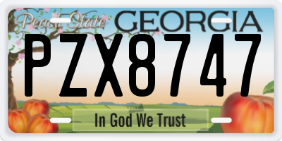 GA license plate PZX8747