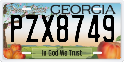 GA license plate PZX8749