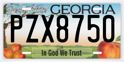 GA license plate PZX8750