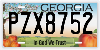 GA license plate PZX8752