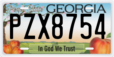GA license plate PZX8754