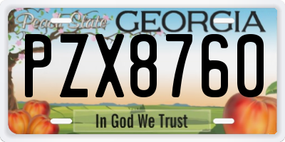 GA license plate PZX8760