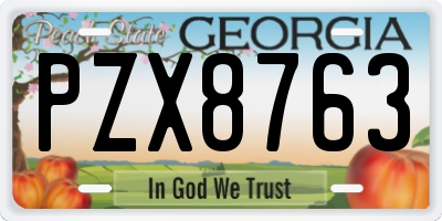 GA license plate PZX8763