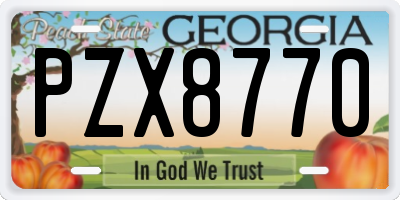 GA license plate PZX8770