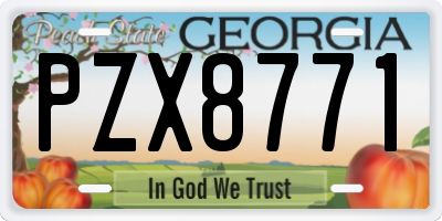 GA license plate PZX8771