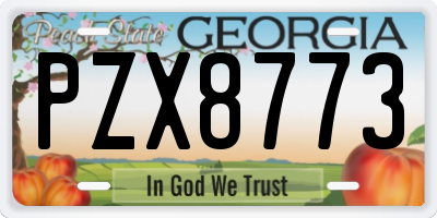 GA license plate PZX8773