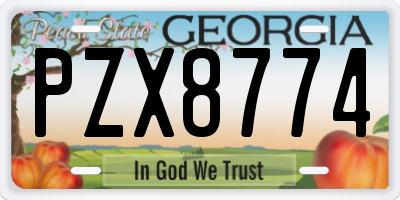 GA license plate PZX8774