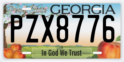 GA license plate PZX8776