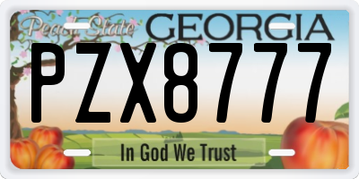 GA license plate PZX8777