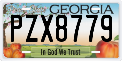 GA license plate PZX8779