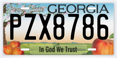 GA license plate PZX8786