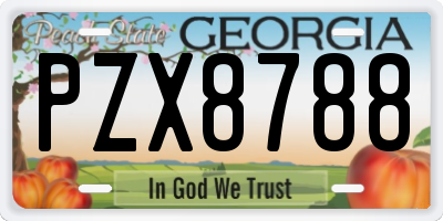 GA license plate PZX8788