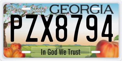 GA license plate PZX8794