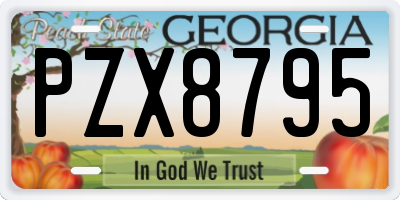 GA license plate PZX8795