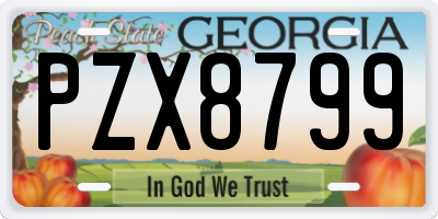 GA license plate PZX8799