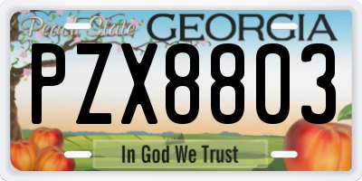 GA license plate PZX8803