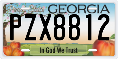 GA license plate PZX8812