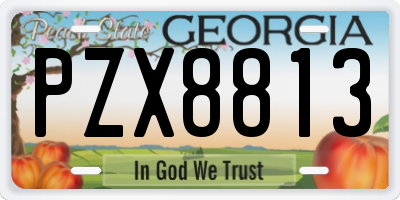 GA license plate PZX8813