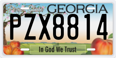 GA license plate PZX8814