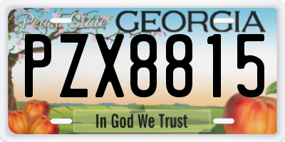 GA license plate PZX8815