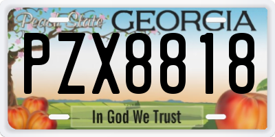 GA license plate PZX8818