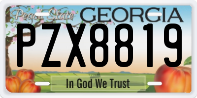 GA license plate PZX8819